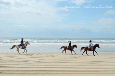 Hatteras Cabanas photo