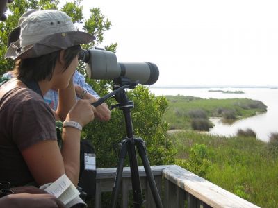 Pea Island National Wildlife Refuge photo