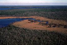 Pea Island National Wildlife Refuge photo