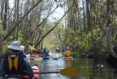 Pea Island National Wildlife Refuge photo