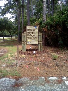 Pea Island National Wildlife Refuge photo