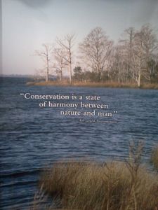 Pea Island National Wildlife Refuge photo