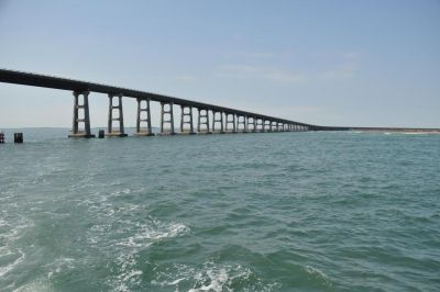 Oregon Inlet Fishing Center photo