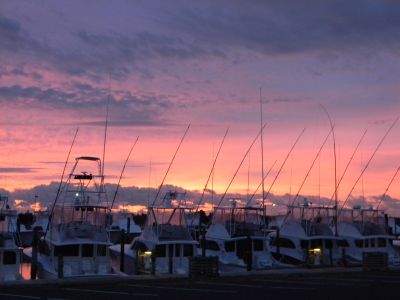Oregon Inlet Fishing Center photo
