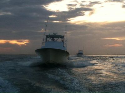 Bite Me Sportfishing Charters photo
