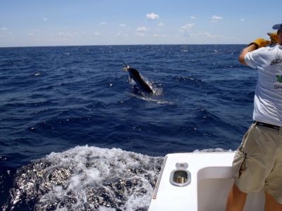 Bite Me Sportfishing Charters photo