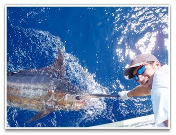 Bite Me Sportfishing Charters photo