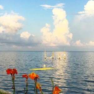 Rodanthe Watersports &amp; Campground photo