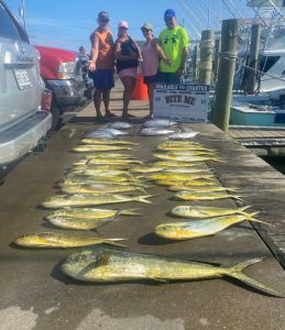 Bite Me Sportfishing Charters photo