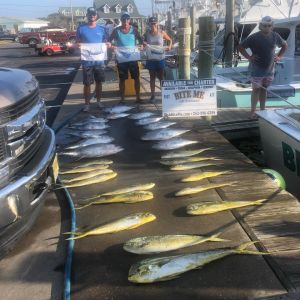 Bite Me Sportfishing Charters photo