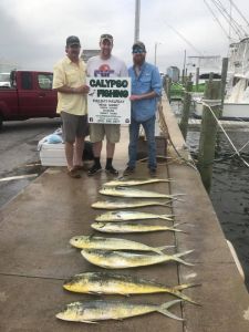 Calypso Sportfishing Charters photo