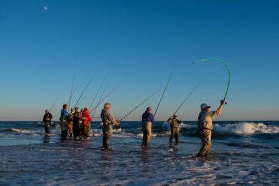 Red Drum Tackle Shop photo