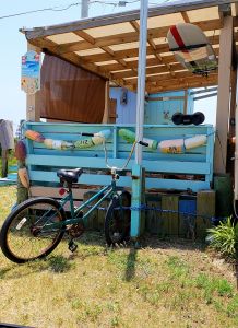 North Beach Campground photo