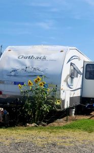 North Beach Campground photo
