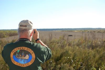 Coastal North Carolina National Wildlife Refuges photo
