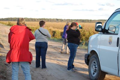 Coastal North Carolina National Wildlife Refuges photo