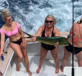 Calypso Sportfishing Charters photo