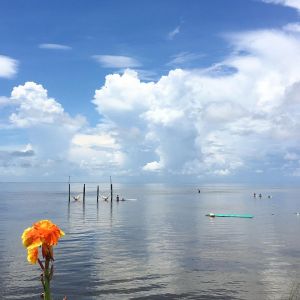 Rodanthe Watersports &amp; Campground photo