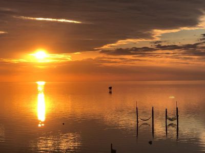 Rodanthe Watersports &amp; Campground photo