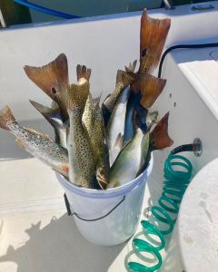 Oregon Inlet Fishing Center photo