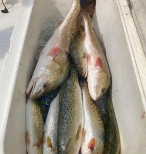 Oregon Inlet Fishing Center photo