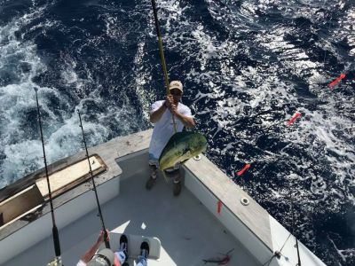 Calypso Sportfishing Charters photo