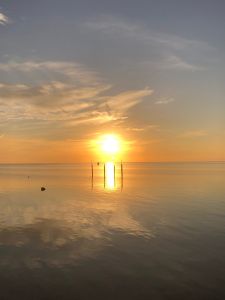 Rodanthe Watersports &amp; Campground photo