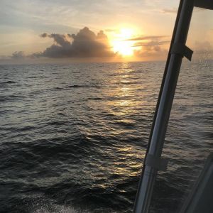 Calypso Sportfishing Charters photo