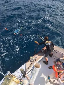 Calypso Sportfishing Charters photo