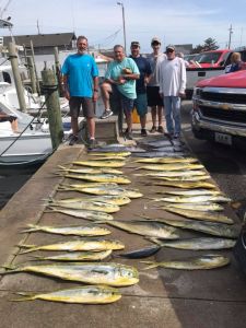 Calypso Sportfishing Charters photo