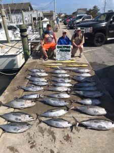 Calypso Sportfishing Charters photo