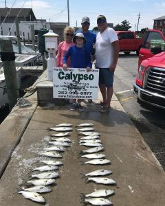 Calypso Sportfishing Charters photo