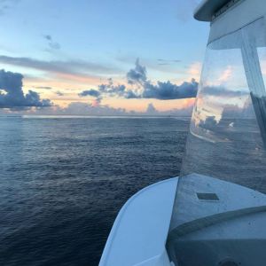 Calypso Sportfishing Charters photo