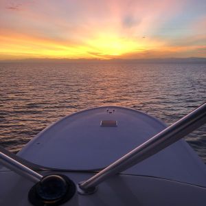 Bite Me Sportfishing Charters photo