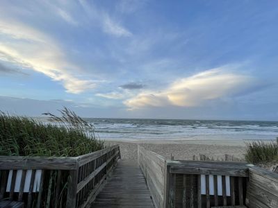 Dolphin Realty photo
