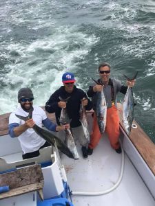 Calypso Sportfishing Charters photo