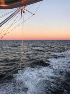 Calypso Sportfishing Charters photo