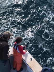 Calypso Sportfishing Charters photo