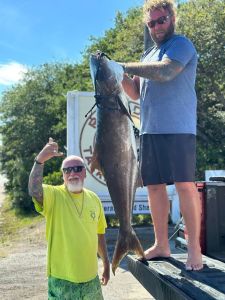 Red Drum Tackle Shop photo