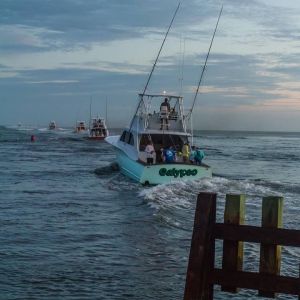 Calypso Sportfishing Charters photo