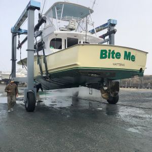 Bite Me Sportfishing Charters photo