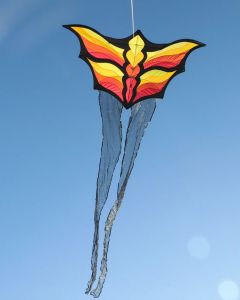 Kitty Hawk Kites photo