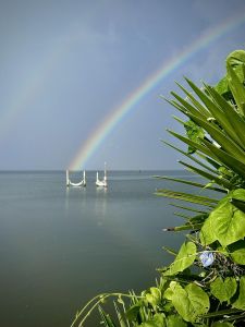 Rodanthe Watersports &amp; Campground photo