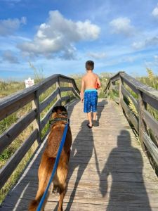 A family and their dog walk over the boardwalk to the beach.