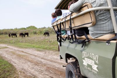 Kitty Hawk Kites photo