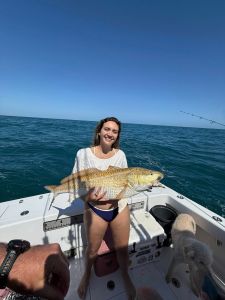 Red Drum Tackle Shop photo