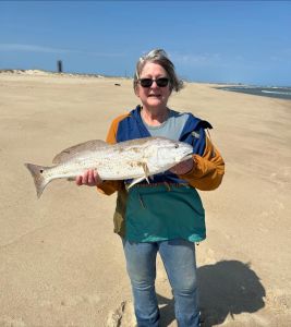 Red Drum Tackle Shop photo