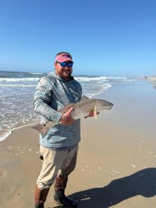 Red Drum Tackle Shop photo