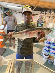 Red Drum Tackle Shop photo