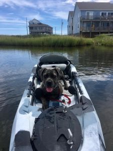 Hatteras Cabanas photo